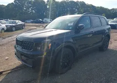 2025 Kia Telluride Ex X-Line — фото 17