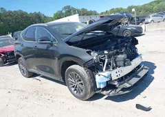 2025 Lexus Nx 250 Premium — фото 1