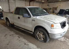 2004 Ford F-150 Fx4/Lariat/Xl/Xlt — фото 1