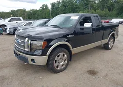 2009 Ford F-150 Fx4/Lariat/Xl/Xlt — фото 2