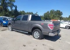 2013 Ford F-150 Xlt — фото 3