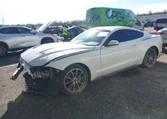 2019 Ford Mustang Ecoboost Premium — фото 2