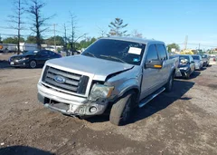 2010 Ford F-150 Fx4/Harley-Davidson/King Ranch/Lariat/Platinum/Xl/Xlt — фото 6
