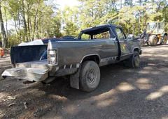 1989 Dodge W-Series W200/W250 — фото 4