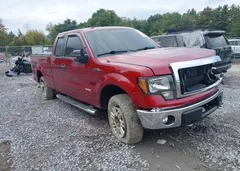 2013 Ford F-150 Xlt — фото 1