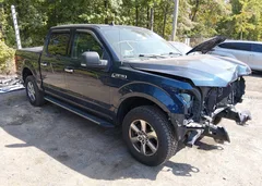 2019 Ford F-150 Xlt — фото 1