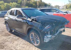 2026 Lexus NX 350h Premium — фото 1