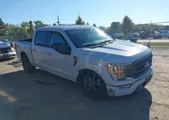 2023 Ford F-150 Xlt — фото 1