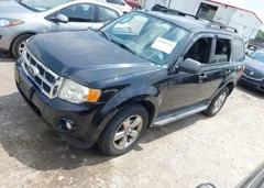 2012 Ford Escape Xlt — фото 2