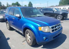 2011 Ford Escape Xlt — фото 1