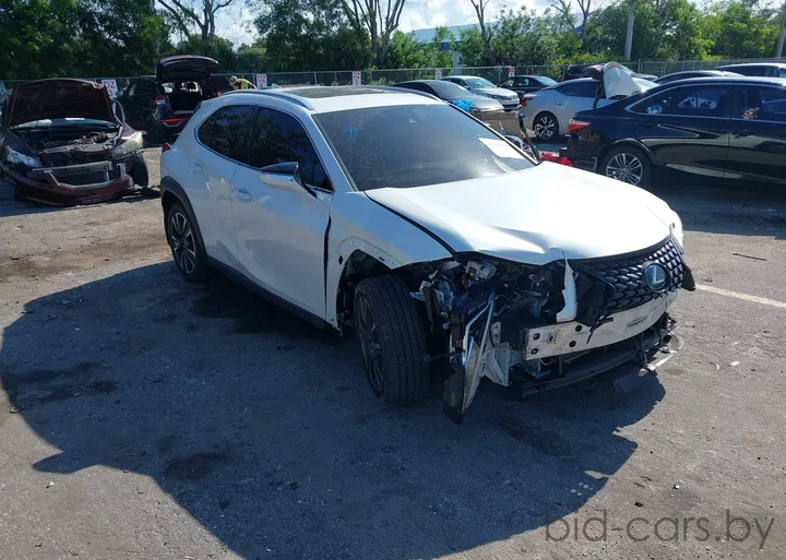 2021 Lexus UX