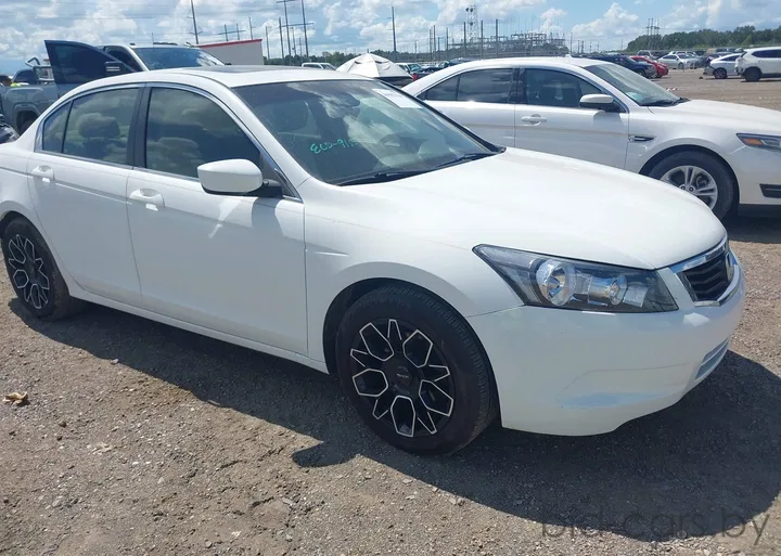 2010 Honda Accord