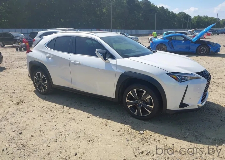 2020 Lexus UX