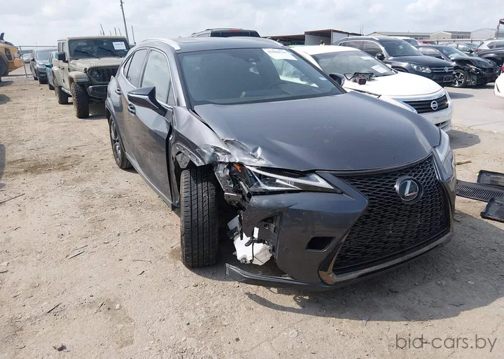 2022 Lexus UX